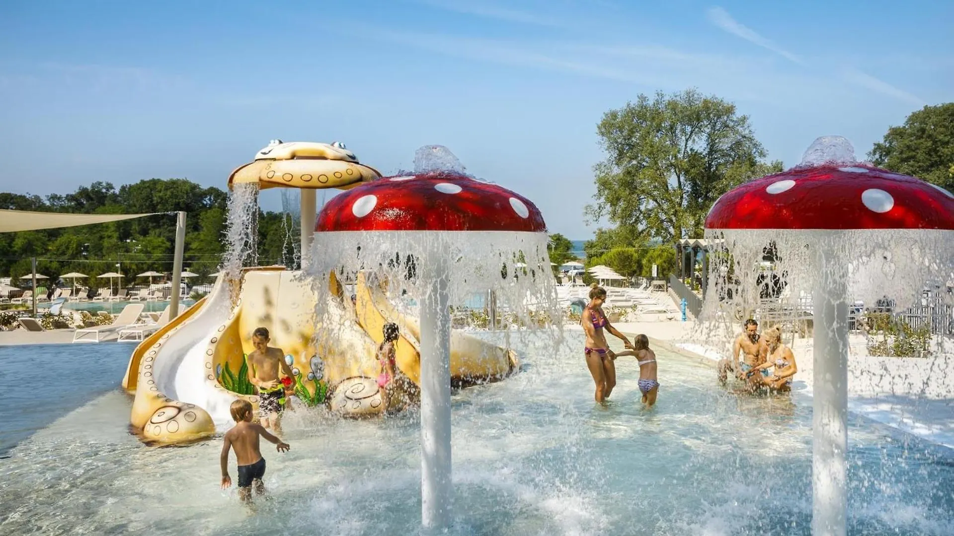 公寓 Mediterano Novigrad Istria