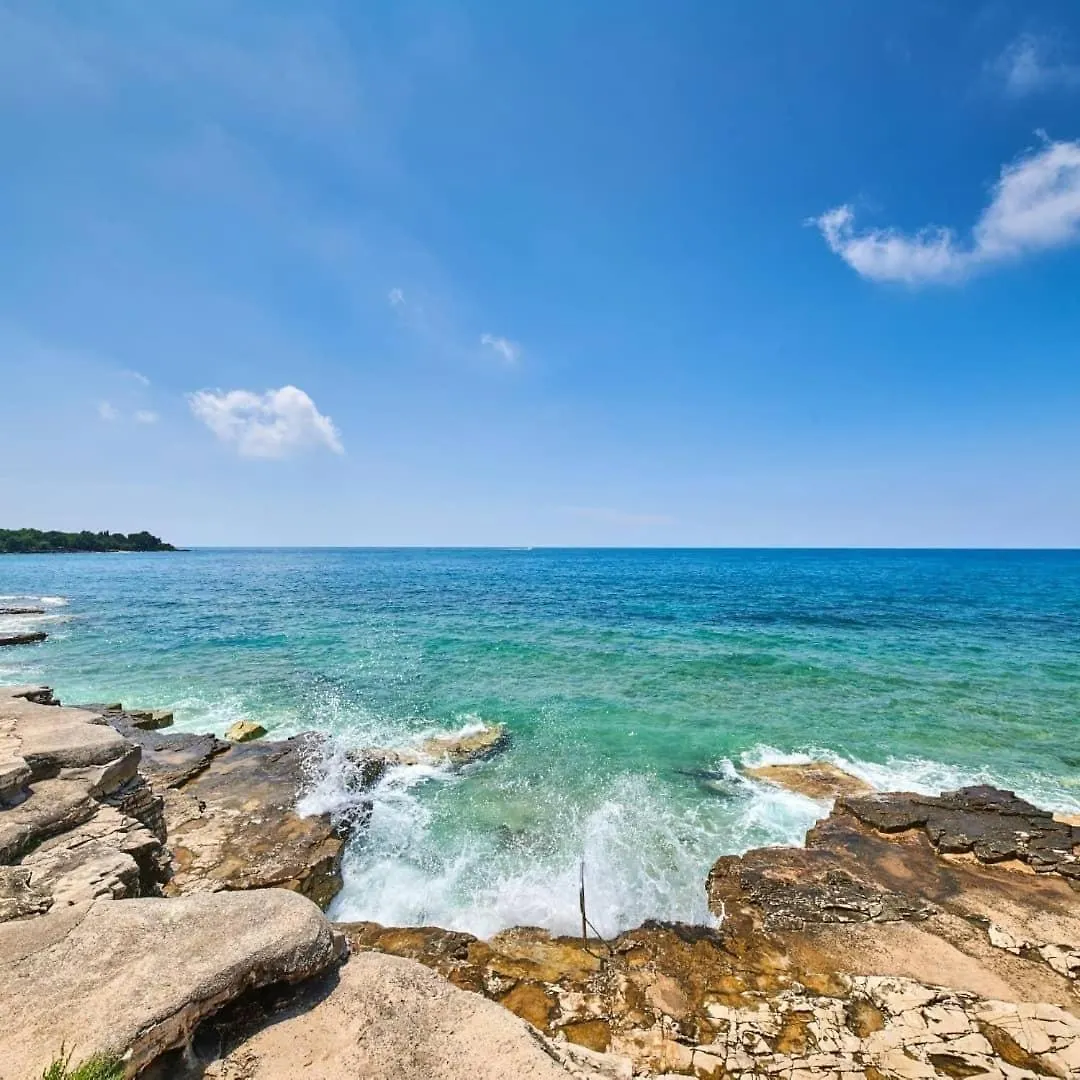 Apartment Mediterano Novigrad